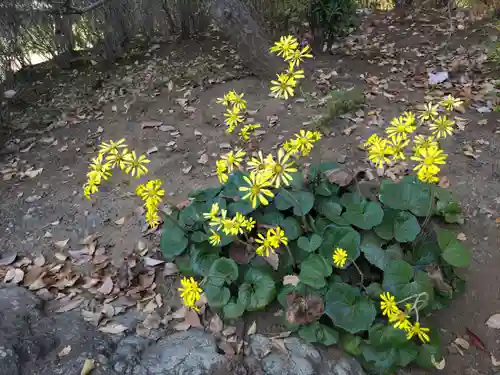 延命寺の庭園