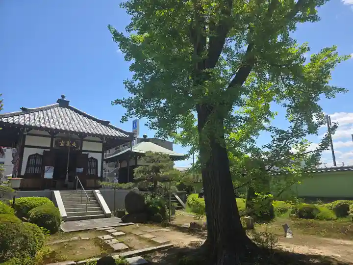 単伝庵(京都府)