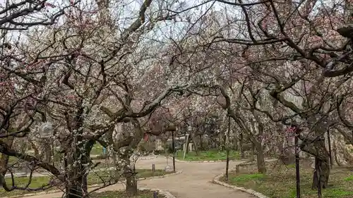 北野天満宮(京都府)