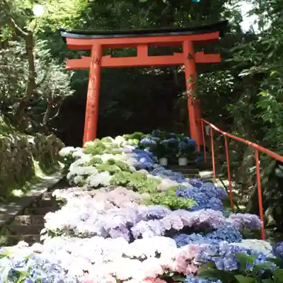 柳谷観音　楊谷寺(京都府)