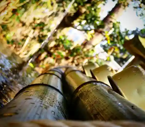 新宮八幡神社の手水舎