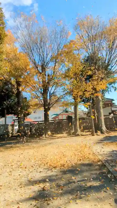 八雲神社 (通五丁目)の自然