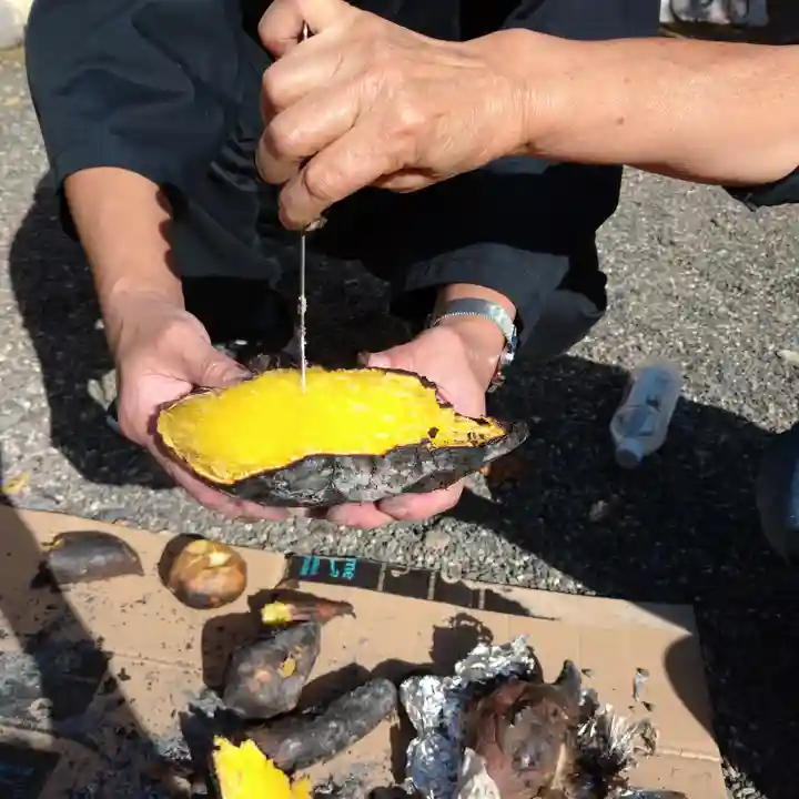 日蓮宗 総本山 塔頭 定林坊(じょうりんぼう)(山梨県)
