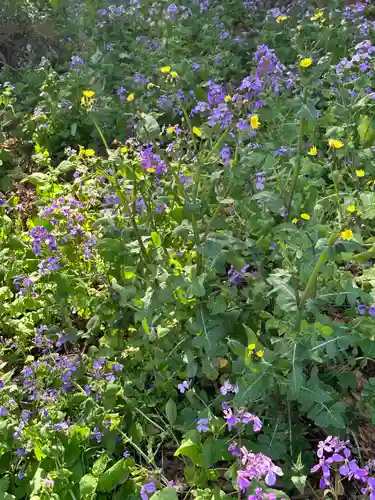 八幡神社(神奈川県)