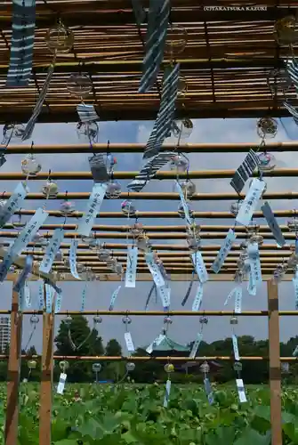 寛永寺不忍池弁天堂(東京都)