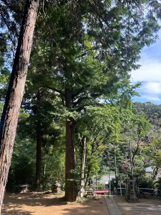 諏訪神社(東京都)