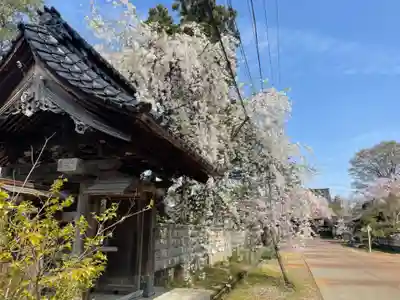 本成寺(新潟県)