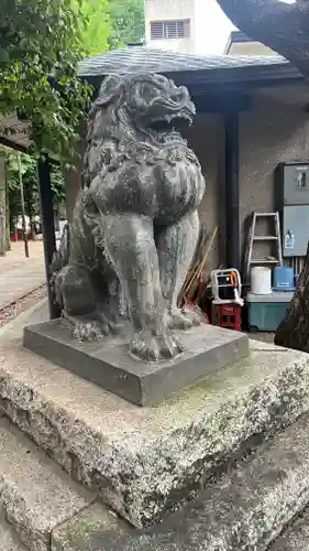 鳩森八幡神社の狛犬