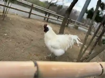 高屋敷稲荷神社(福島県)