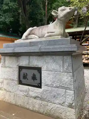 小金井神社(東京都)