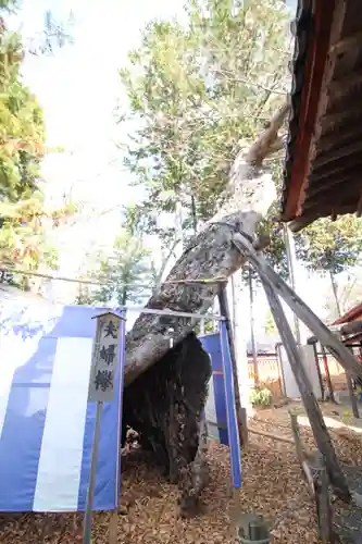 生島足島神社(長野県)
