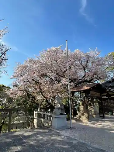 春日神社(福岡県)