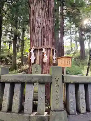 諏訪大社下社春宮の自然