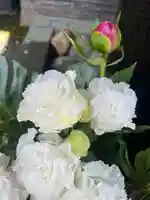 上尾御嶽神社の手水舎