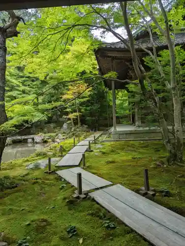蓮華寺（洛北蓮華寺）(京都府)
