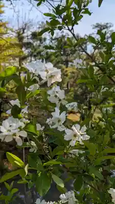 等持院(京都府)