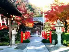 貫井神社の建物その他