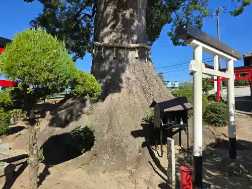 尾崎稲荷大明神(大阪府)