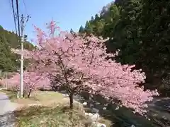 眞弓神社の自然
