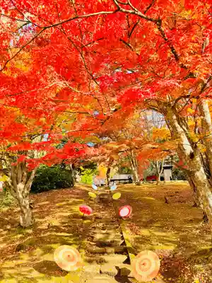 土津神社｜こどもと出世の神さま(福島県)