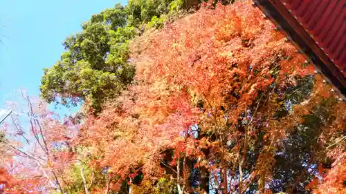 秩父札所１番　四萬部寺(埼玉県)