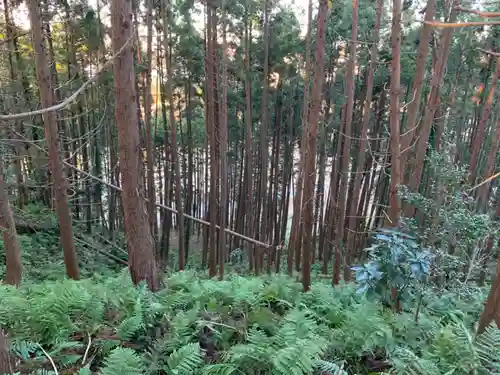 浅間神社の自然