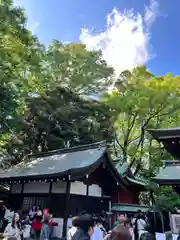 川越氷川神社(埼玉県)