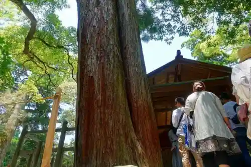 伊勢神宮外宮（豊受大神宮）の建物その他