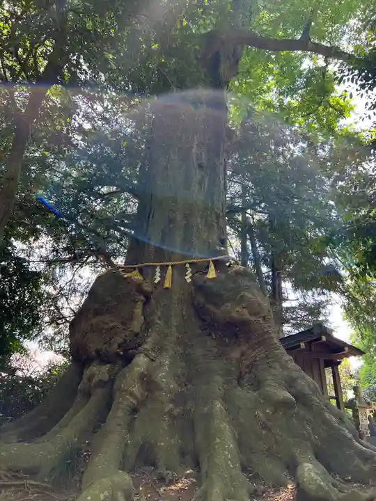 沓掛香取神社(茨城県)