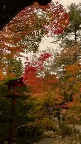 鍬山神社(京都府)