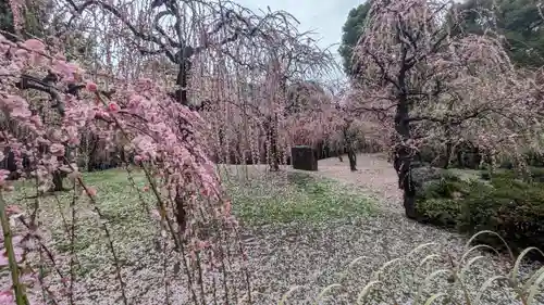 城南宮(京都府)