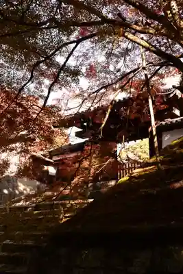 曼殊院門跡(京都府)