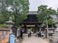 石手寺の{uncategorized: "未分類", other: "その他", undefined: "問題あり", building: "その他建物", grave: "お墓", sacred_gate: "鳥居", guardian: "狛犬", statue: "像", buddha: "仏像", history: "歴史", nature: "自然", garden: "庭園", animal: "動物", pagoda: "塔", temizu: "手水舎", mountain_gate: "山門・神門", sanctuary: "本殿・本堂", subordinate: "末社・摂社", art: "芸術", scenery: "景色", jizo: "地蔵", ema: "絵馬", goshuin: "御朱印", omikuji: "おみくじ", items: "授与品その他", amulet: "お守り", goshuincho: "御朱印帳", eats: "食事", festival: "お祭り", votive_dance: "神楽", shichigosan: "七五三参", wedding: "結婚式", experience: "体験その他", initially: "初詣", around: "周辺", anti_infection: "感染症対策"}