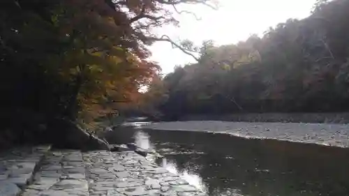 伊勢神宮内宮（皇大神宮）の自然