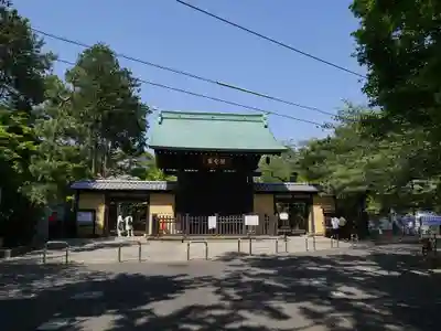 豪徳寺の山門・神門