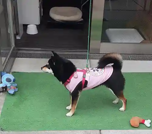 【閉業】小石川大神宮(東京都)