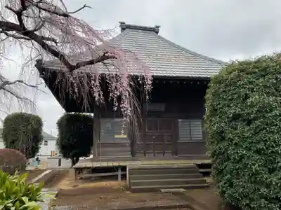 圓藏院(埼玉県)
