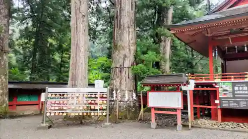 日光二荒山神社(栃木県)