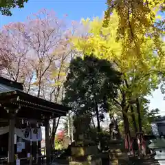 熊野福藏神社の景色