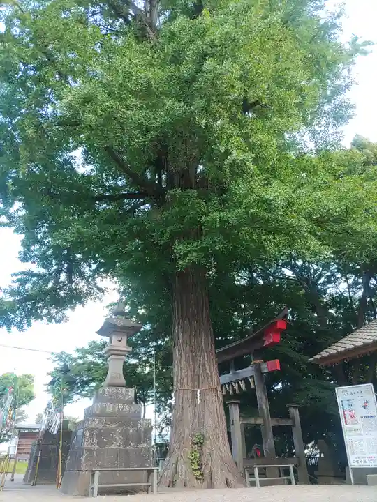 下総国三山 二宮神社(千葉県)