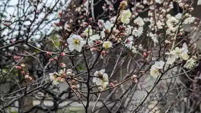 水火天満宮(京都府)