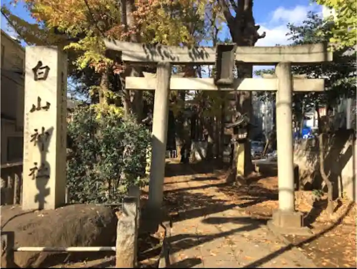 荻窪白山神社の鳥居