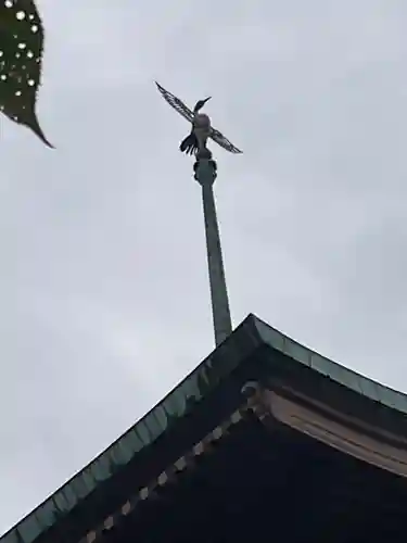 大雲院(京都府)