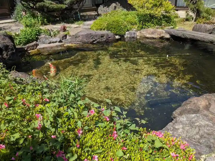 光国寺(岐阜県)