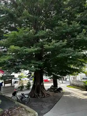 滝野川八幡神社(東京都)