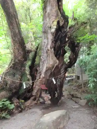 來宮神社のその他建物