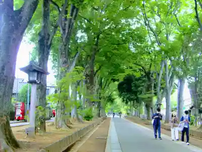 武蔵一宮氷川神社の周辺