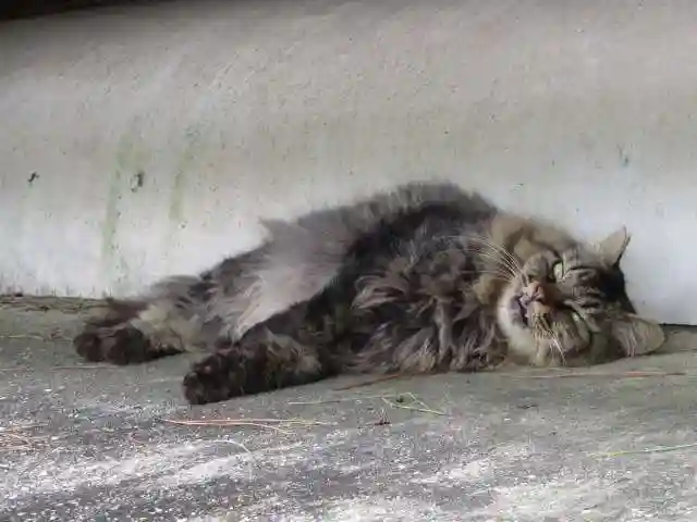 法隆寺(奈良県)
