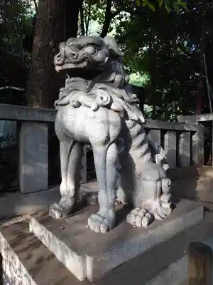 渋谷氷川神社の狛犬