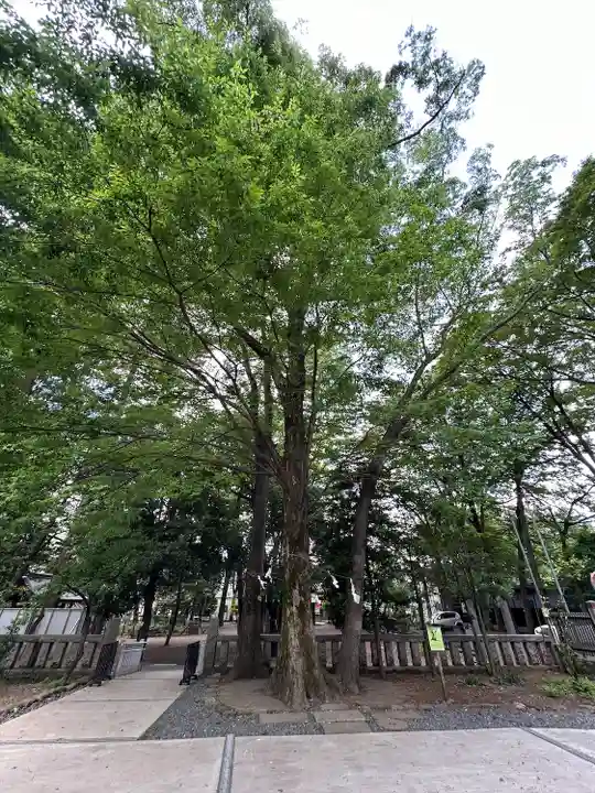 布多天神社(東京都)